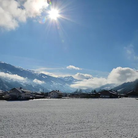 Zirbenzapfen * フューゲン