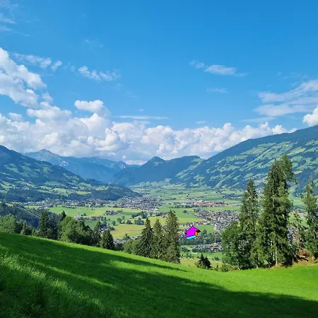 Zirbenzapfen Lejlighed