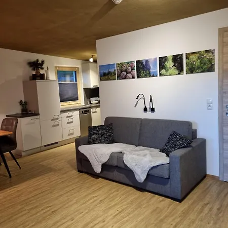 Zirbenzapfen Lejlighed Fügen